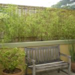 Cerquinha instalada ao fundo de jardim vivo de bambus.