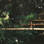 Corrimão em bambu gigante em ponte de residência.