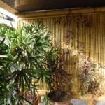 Painel com moldura de bambu gigante para divisória de varanda.